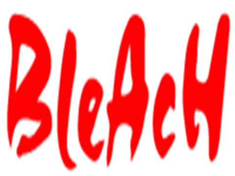 Bleach Extreme Sports